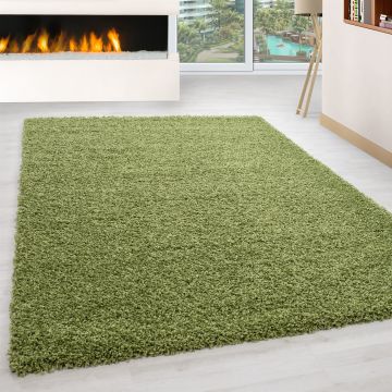 Life Shaggy vloerkleed hoogpolig rechthoek 160x230cm groen