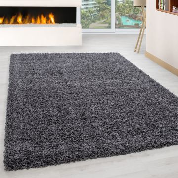 Life Shaggy vloerkleed hoogpolig rechthoek 160x230cm grijs