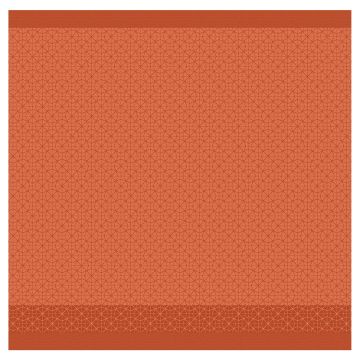 DDDDD Chrystal theedoek 60x65cm sienna (6 stuks)