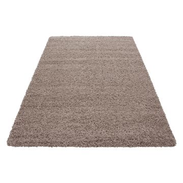 Dream Shaggy vloerkleed hoogpolig rechthoek 60x110cm beige