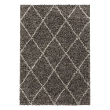 Alvor Shaggy vloerkleed hoogpolig rechthoek 240x340cm taupe