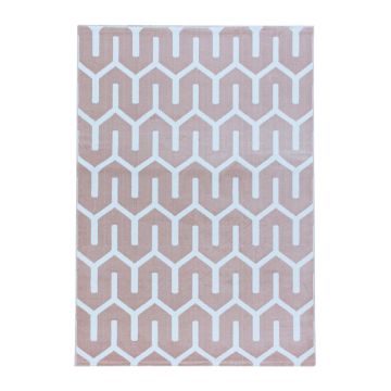 Costa Blas tapis poils ras rectangle 240x340cm roses