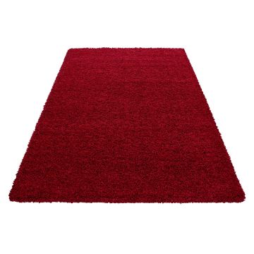 Life Shaggy tapis poils longs rectangle 200x290cm rouge