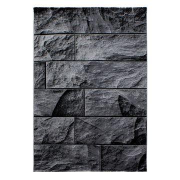 Parma Oltu vloerkleed laagpolig rechthoek 140x200cm zwart